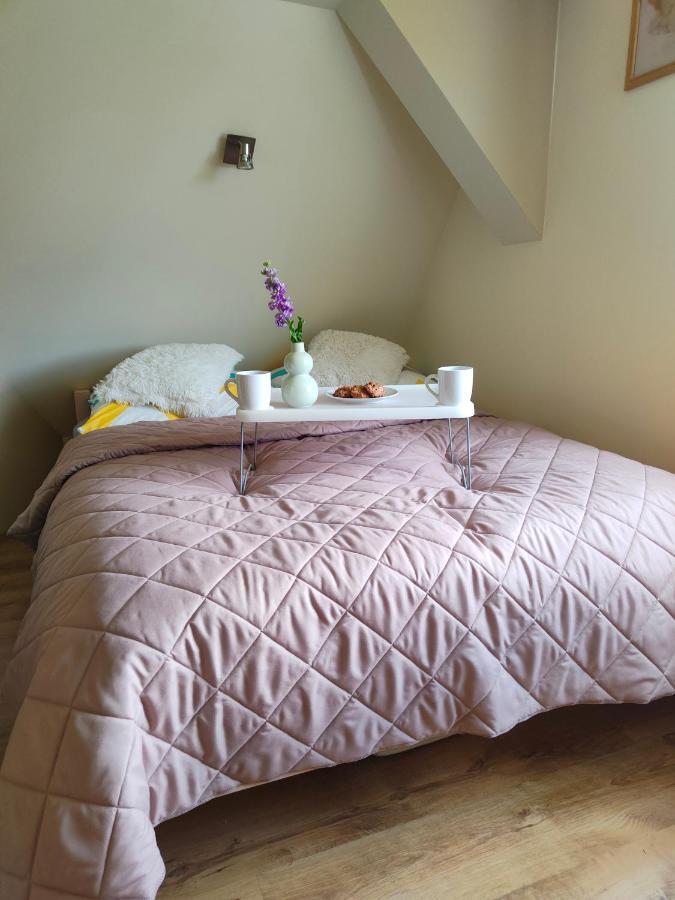 Apartament Zlap Oddech ザコパネ エクステリア 写真
