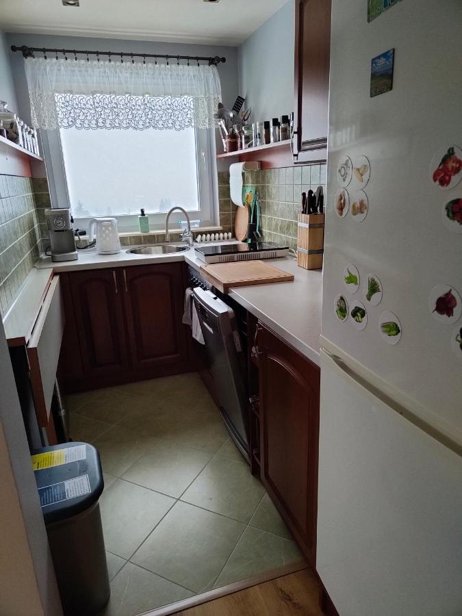 Apartament Zlap Oddech ザコパネ エクステリア 写真